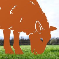 Close-up of the Head on the Ewe Sheep Feeding Silhouette
