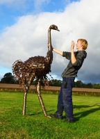 "Orinville" Large Ostrich Walking Sculpture