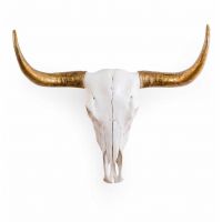 Bison Skull Wall Art Finished in White with Gold Horns