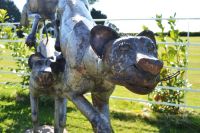 "Jabari" Leaping Cheetah Wrought Iron Sculpture
