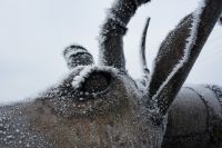 “Leaping Impala” African Antelope Garden Sculpture
