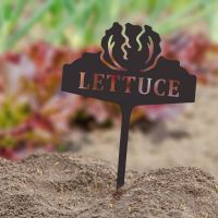 "Lettuce" Vegetable Label in Situ in the Garden