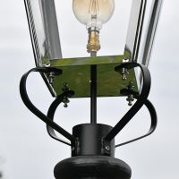 Close up of frog collar 