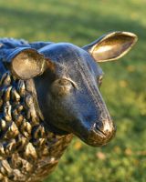 Close Up Of Life Size "Spencer" Sheep Sculpture Head