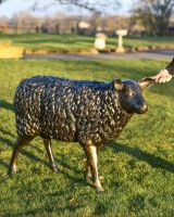 Scale Shot Of Life Size "Spencer" Sheep Sculpture