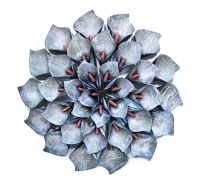 "Calla Lily" Flower Wall Art