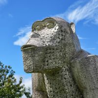 Close-up of Bronze “Lord Greystoke” Stunning Silverback Gorilla Sculpture