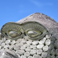 Close-Up of Facial Features