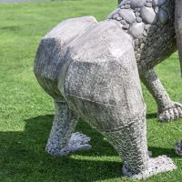 Close-Up of Rear