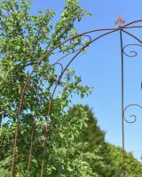 Close up of curved top and ornate details on metal gazebo