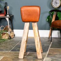 Side view of the Mango Wood & Tan Goat Leather Counter Stool