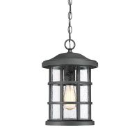 "Meadow Cottage" Chain Hanging Ceiling Light in a Black Finish