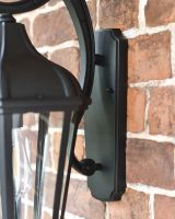 Back Plate Close Up