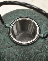 Tea Infuser in Green Cast Iron Teapot 
