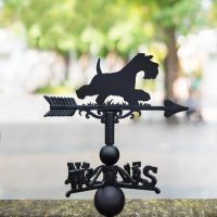 Minitiature schnauzer running weathervane in the park