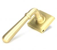 Modern Satin Brass "Neville" Unsprung Door Handle on Square Rose Set - 53mm