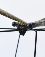 Close up of face detail on scrap metal art sculpture
