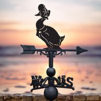 Mrs Duck Weathervane in Use in the Sunset