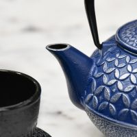 Close-Up of Spout on Japanese Inspired "Mulberry" Blue Cast Iron Teapot 