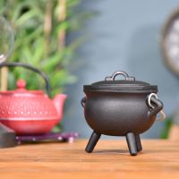 Small Cast Iron Cauldron Finished in Black in Situ