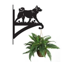 Norwegian Budhund Hanging Basket Bracket with Plant