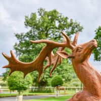 Close up of Cast Iron Stag Sculpture Head and Antlers
