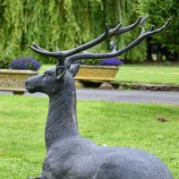 Rear view of Black Cast Iron Stag Sculpture head and antlers