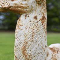 Close up of neck on Cast Iron Rustic Cream Stag Sculpture 