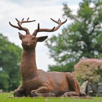 “Elkin” Beautiful Stag Laying Down Created in Iron - Facing Left in Situ in the Garden