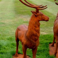 “Elkin Highlands Herd” Cast Iron Stag Sculptures