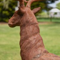 Close up of Stag"s neck 