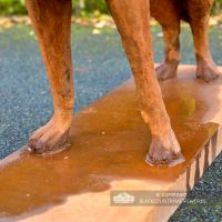 Close-up of the Wolf"s Feet