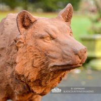 Close-up of the Wolf"s Face