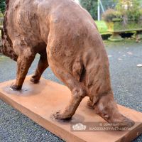 Close-up of the Wolf"s Tail