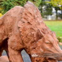 Close-up of the Detail on the Wolf"s Fur