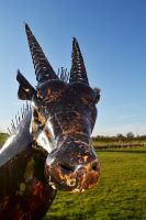 “Choroa Wilds” Oryx Sculpture