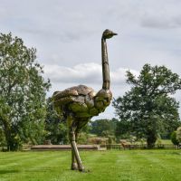 Recycled Metal Ostrich Sculpture