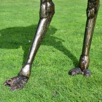 Close up of Ostrich legs on Sculpture 