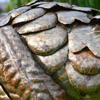 Close up of recycled sheet metal feathers 