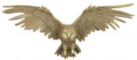 Owl With Outstretched Wings Wall Art & Bust