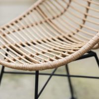 Close-up of the Scooped Polyethylene "Bamboo" on the Dining Chair
