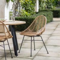 Scooped Polyethylene "Bamboo" Dining Chairs in Situ