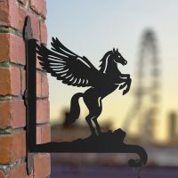 Pegasus hanging basket bracket in the city