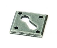 Pewter Diamond Escutcheon