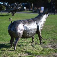Back View Of The Pig Sculpture