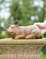 Scale of Cast Iron Resting Pig Sculpture