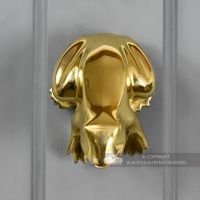 Polished Brass Frog Door Knocker Fitted On Door