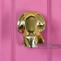 Polished Brass Frog Door Knocker Fitted Onto Pink Front Door