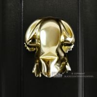 Polished Brass Frog Door Knocker on a Black Door