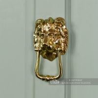 Polished Brass Mayfair Lion Front Door Knocker
